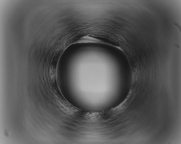 X0000100970186200806241600