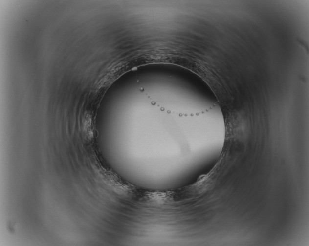 X0000100970187200806241600