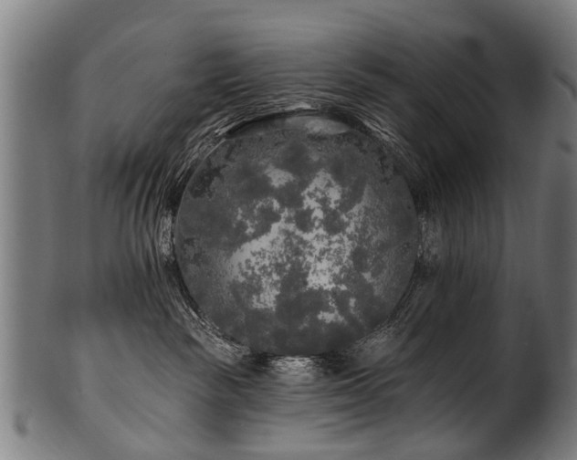 X0000100970189200806241600