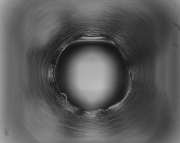 X0000100970190200806241600