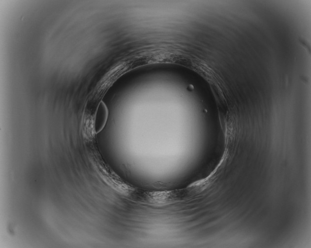 X0000100970191200806241600