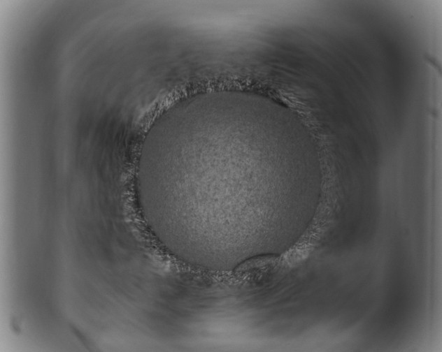 X0000100970192200806241600