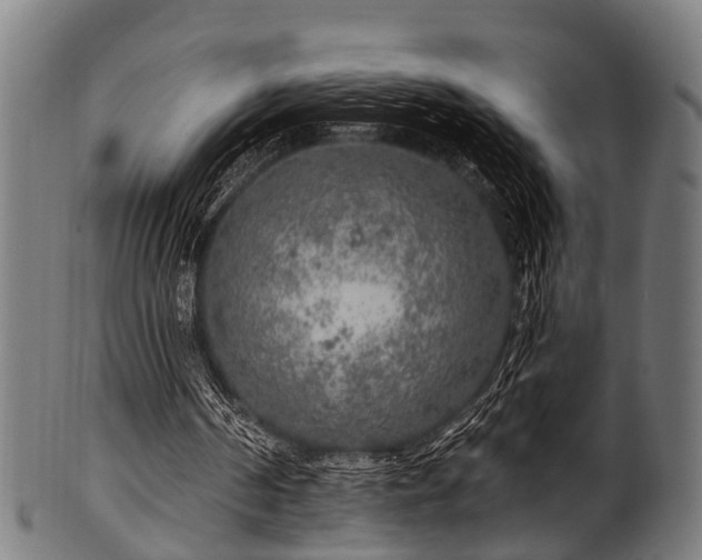 X0000100970194200806241559
