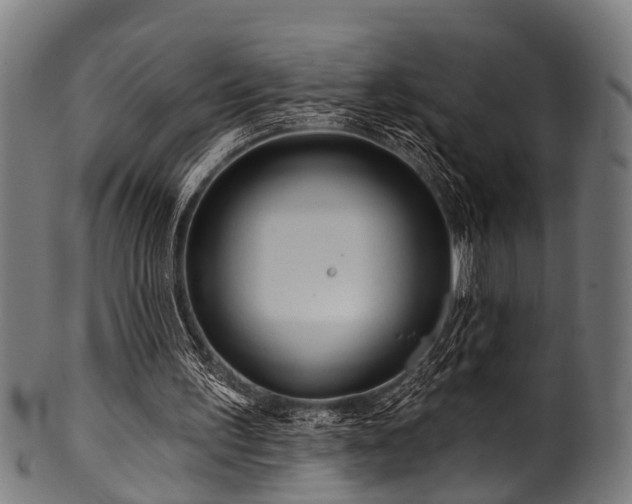 X0000100970195200806241559