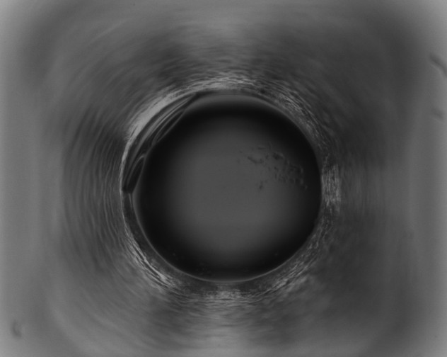 X0000100970196200806241559