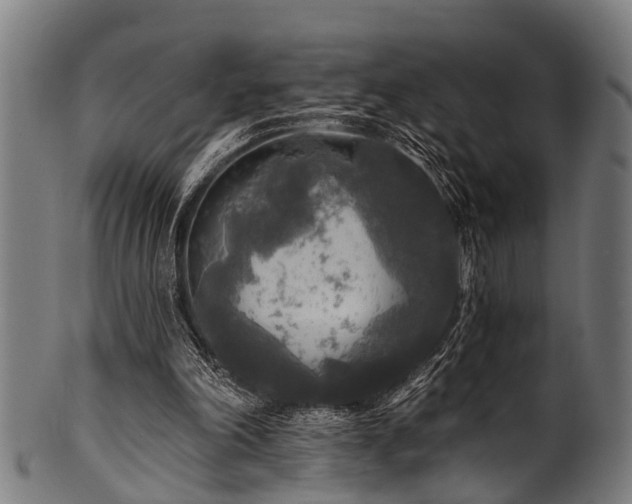 X0000100970198200806241559