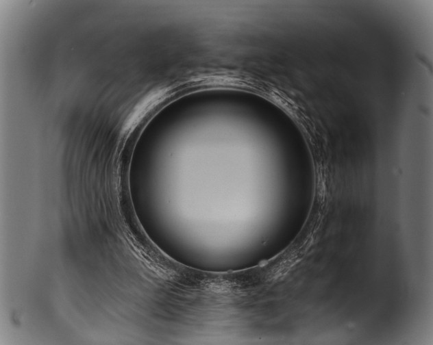 X0000100970199200806241559