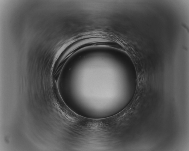 X0000100970200200806241559