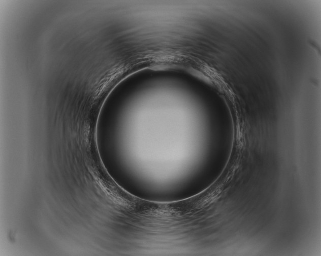 X0000100970201200806241559