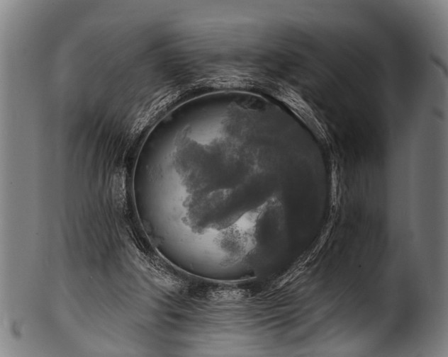 X0000100970202200806241559
