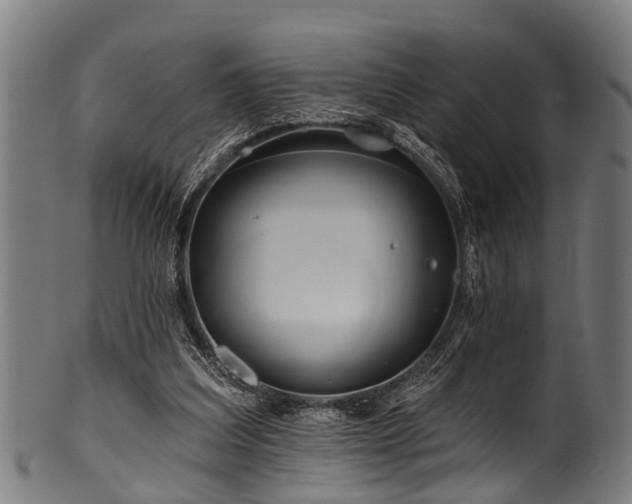 X0000100970203200806241559