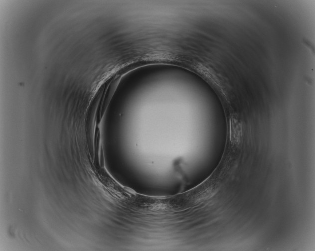 X0000100970204200806241559