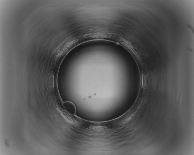 X0000100970205200806241559