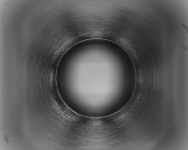 X0000100970206200806241559