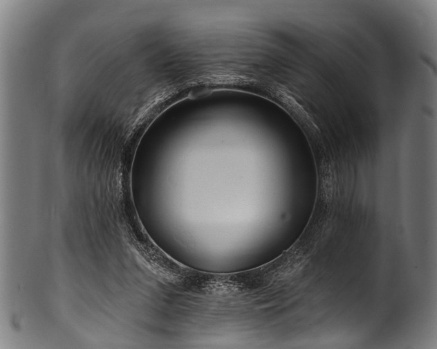 X0000100970207200806241559