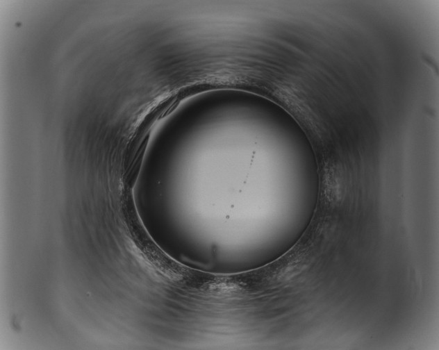 X0000100970208200806241559