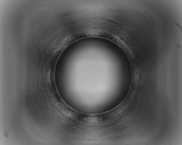 X0000100970209200806241559