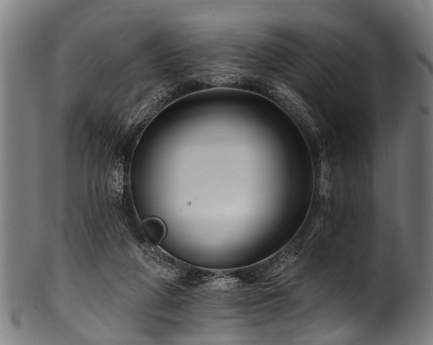 X0000100970210200806241559