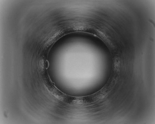 X0000100970211200806241559