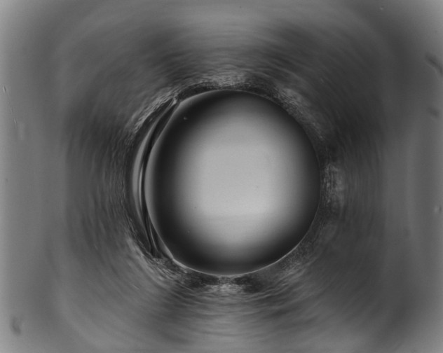 X0000100970212200806241559