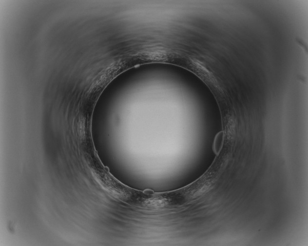 X0000100970213200806241559