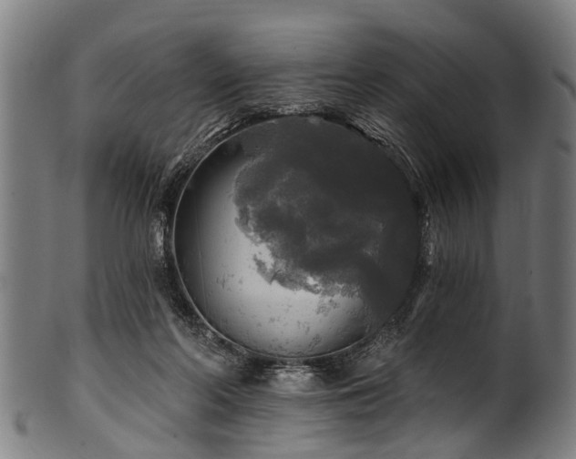 X0000100970214200806241559
