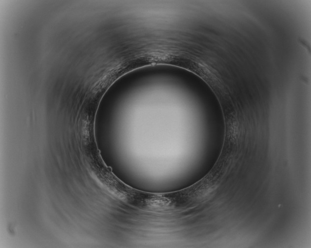 X0000100970215200806241559
