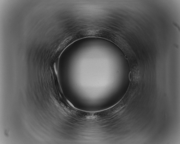 X0000100970216200806241559