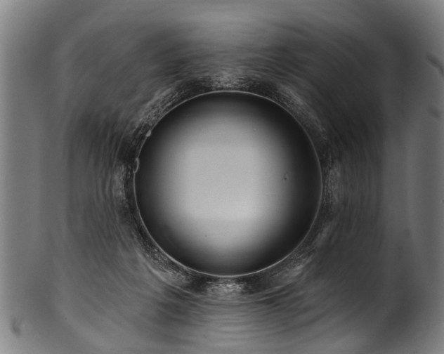 X0000100970217200806241559