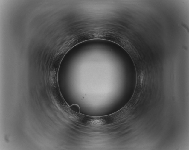 X0000100970218200806241559