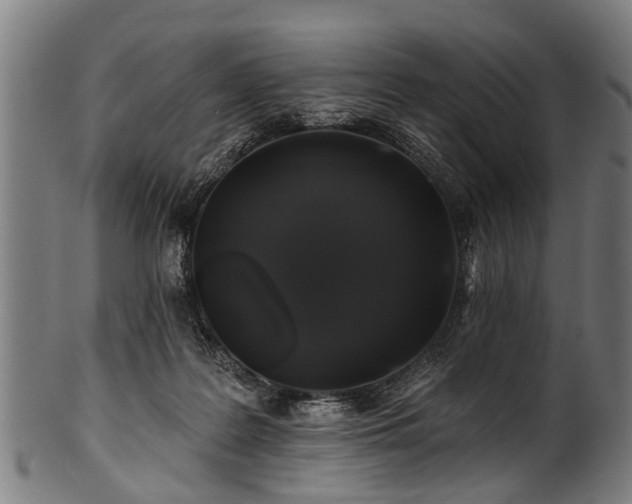 X0000100970219200806241559