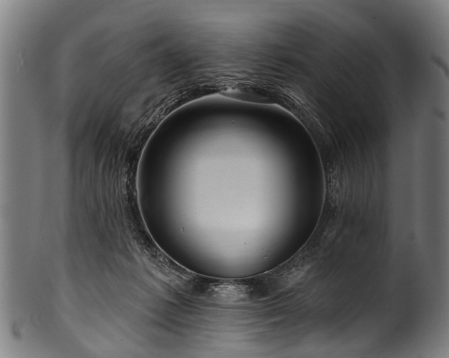 X0000100970221200806241559