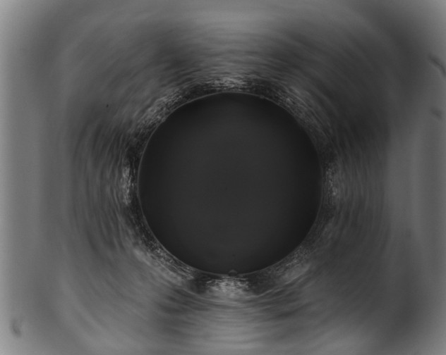 X0000100970223200806241559