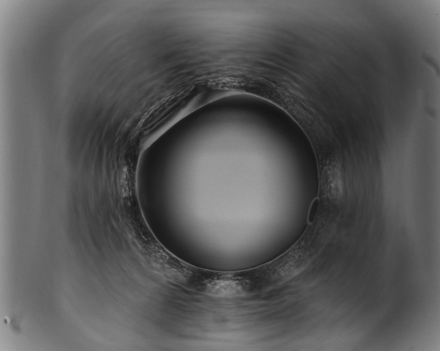 X0000100970224200806241559