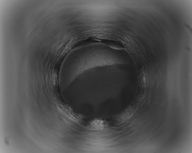 X0000100970227200806241559