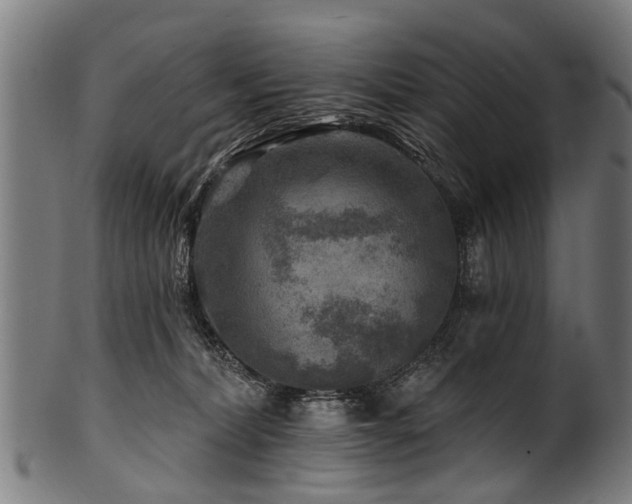 X0000100970228200806241559