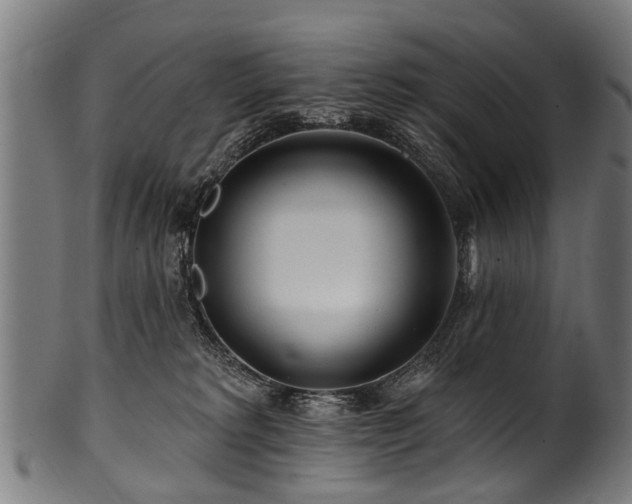 X0000100970229200806241559