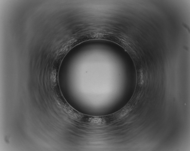 X0000100970230200806241559