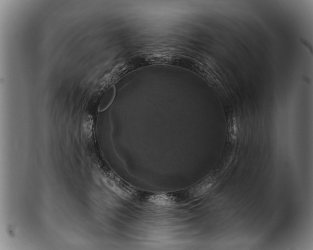 X0000100970231200806241559