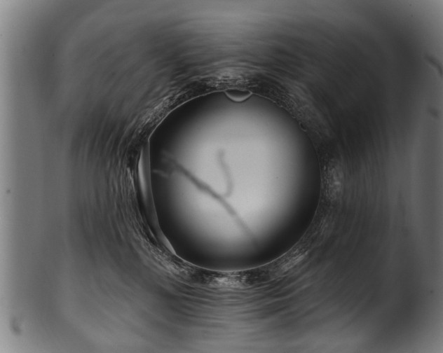 X0000100970232200806241559