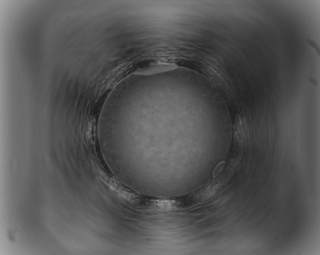 X0000100970233200806241559