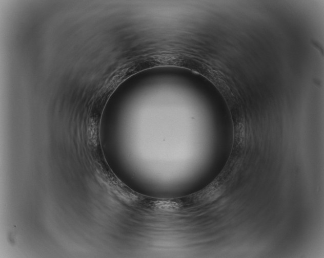 X0000100970234200806241559