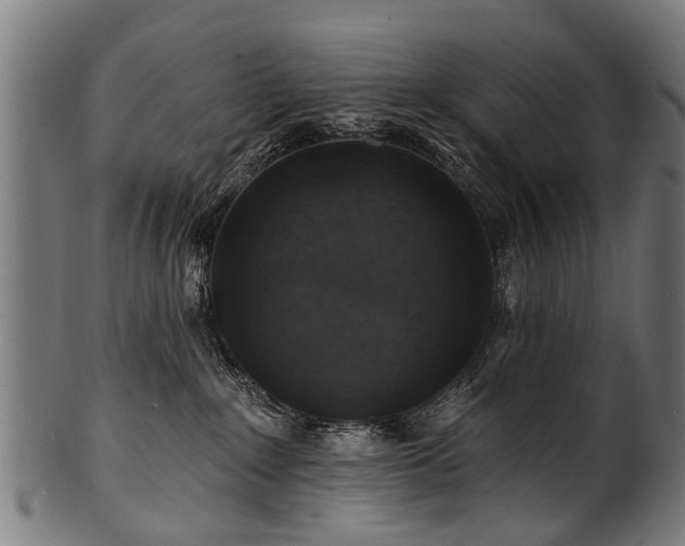 X0000100970235200806241559