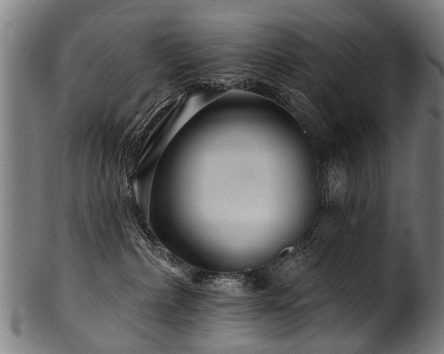 X0000100970236200806241559