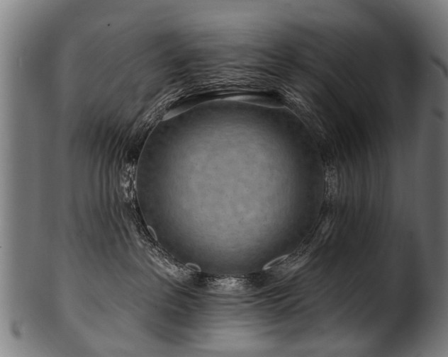 X0000100970237200806241559