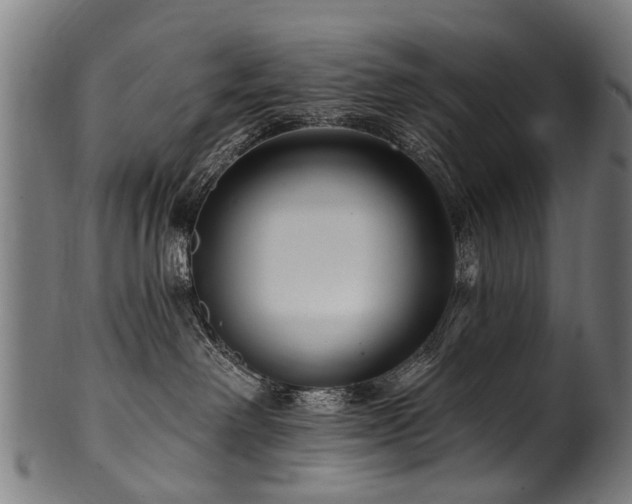 X0000100970238200806241559