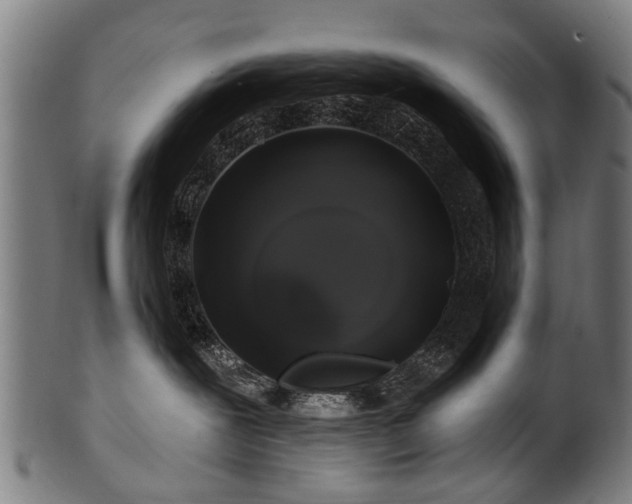 X0000100970239200806241559