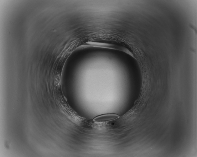 X0000100970240200806241558
