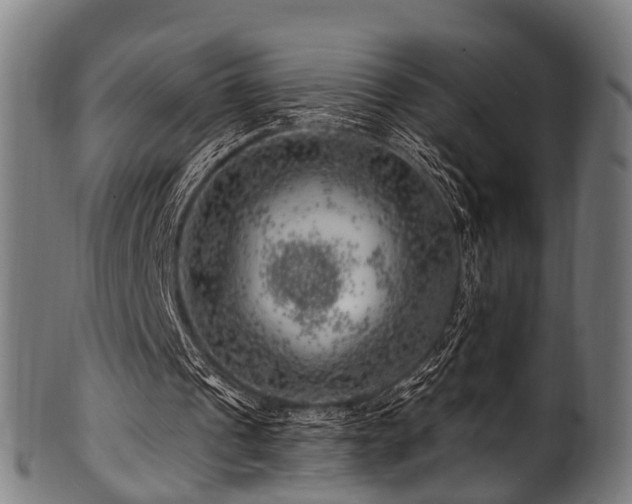 X0000100970241200806241558