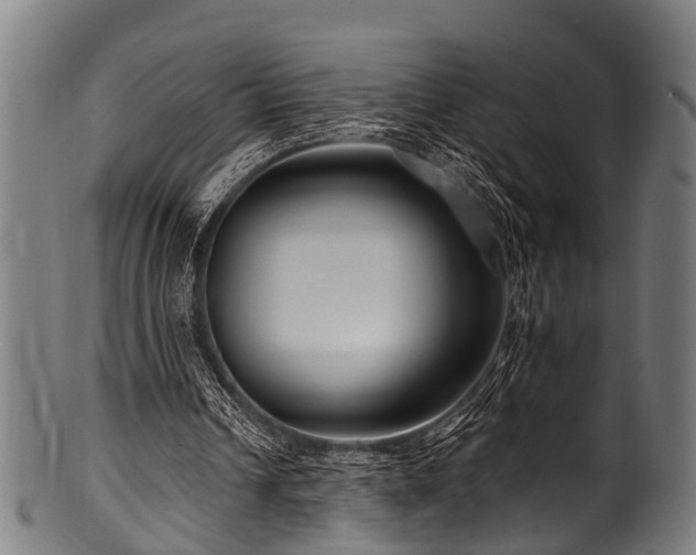 X0000100970242200806241558
